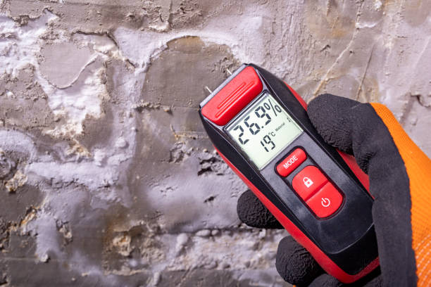 Best Residential Mold Removal  in Watkinsville, GA