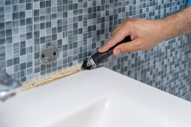 Office Mold Removal Services in Watkinsville, GA