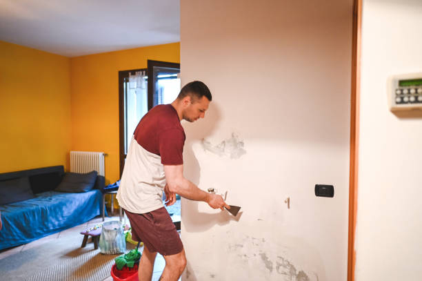 Best Mold Damage Repair  in Watkinsville, GA