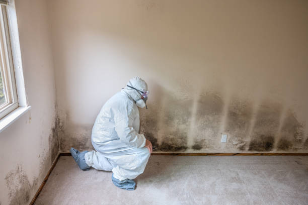 Best Residential Mold Removal  in Watkinsville, GA